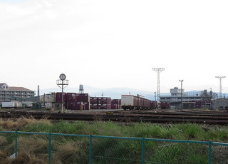 24b.jpg