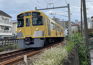 a05.jpg