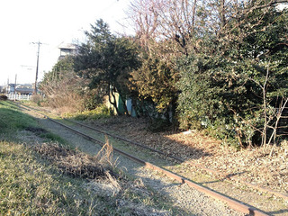 b07.jpg