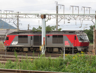b13-DF200-53b.jpg