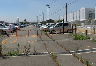 c14.JPG
