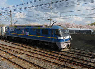 c31-326.jpg