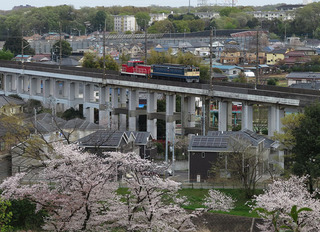 d06.jpg