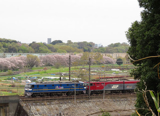 d07-343-40.jpg