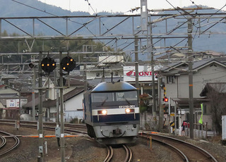 h21.JPG