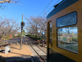 m20b.jpg