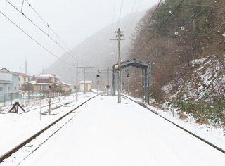 n7a.jpg