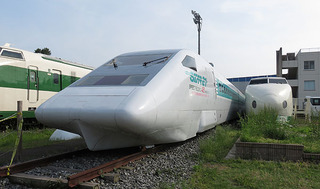 t17.JPG