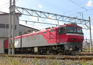 t19.JPG
