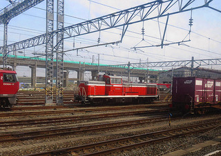 t20-1029.JPG