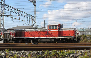 t21-1128.JPG